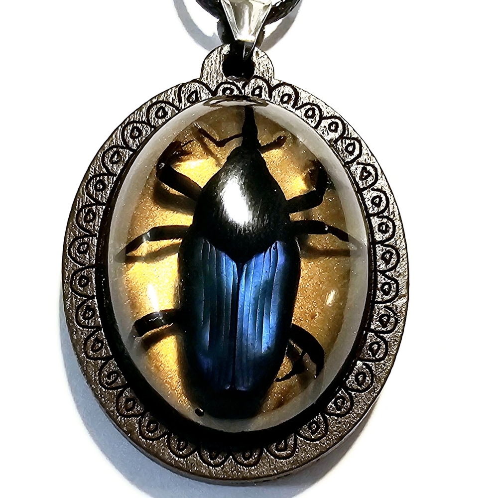 Real Weevil Pendant with Chain